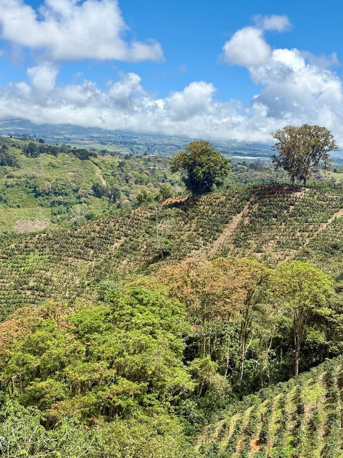 Travesía por el camino de Costa Rica 
