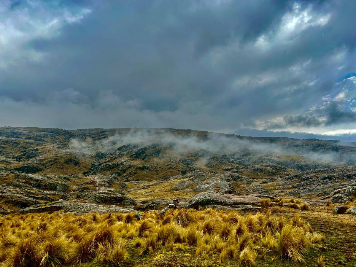 Panorámica de los pastizales de altura del Champaquí con las nubes bajas cubriendo las sierras de Córdoba