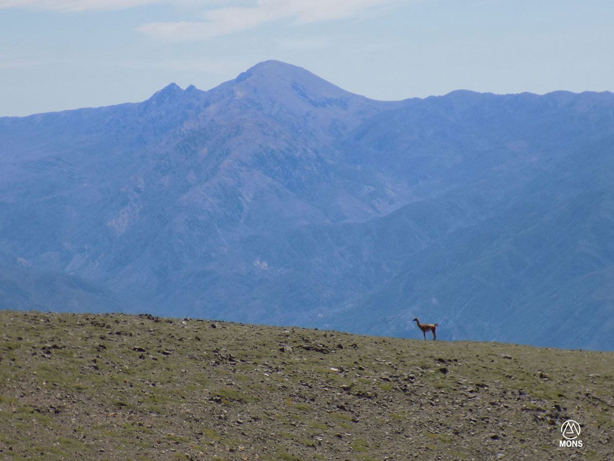 Bautismo de Montaña - Enero 2019 | Salida 14