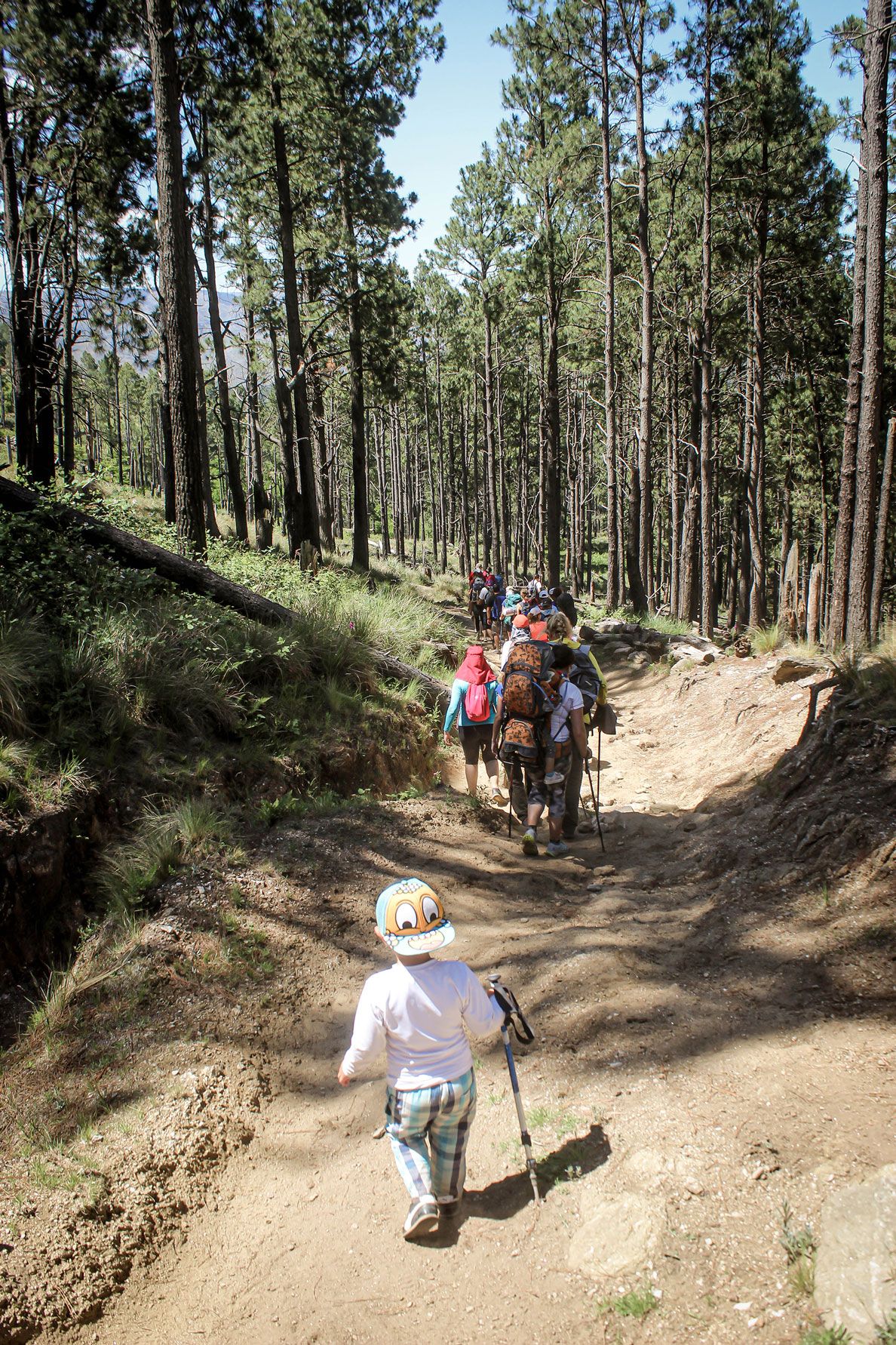 Ascenso al Cerro Champaquí - Diciembre 2020 | Salida 41