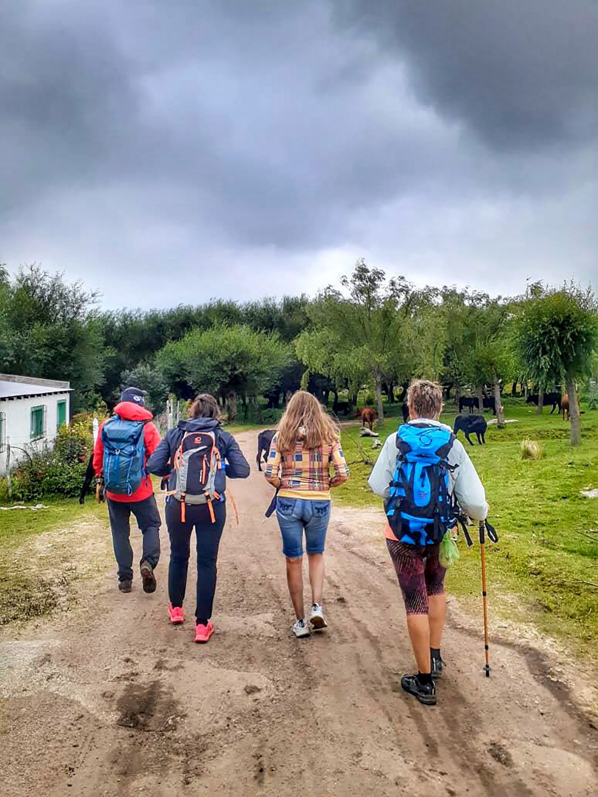 Trekking a Los Gigantes - Febrero 2021 | Salida 51