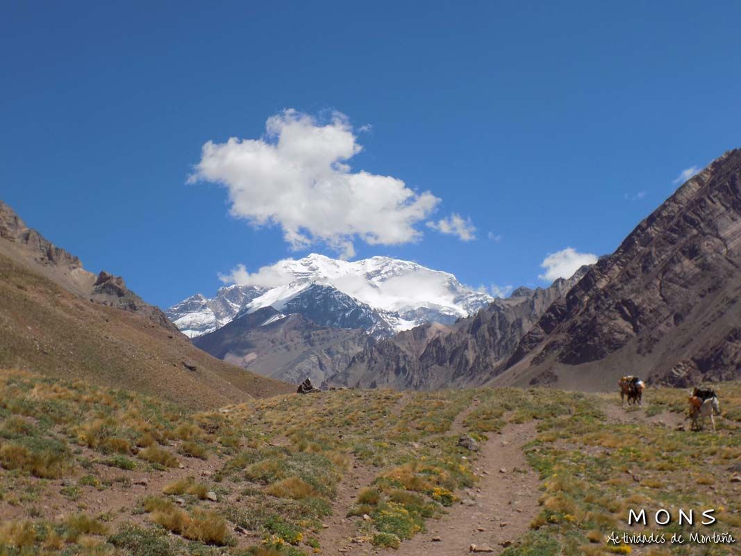 Aconcagua - Enero 2018 | Salida 03
