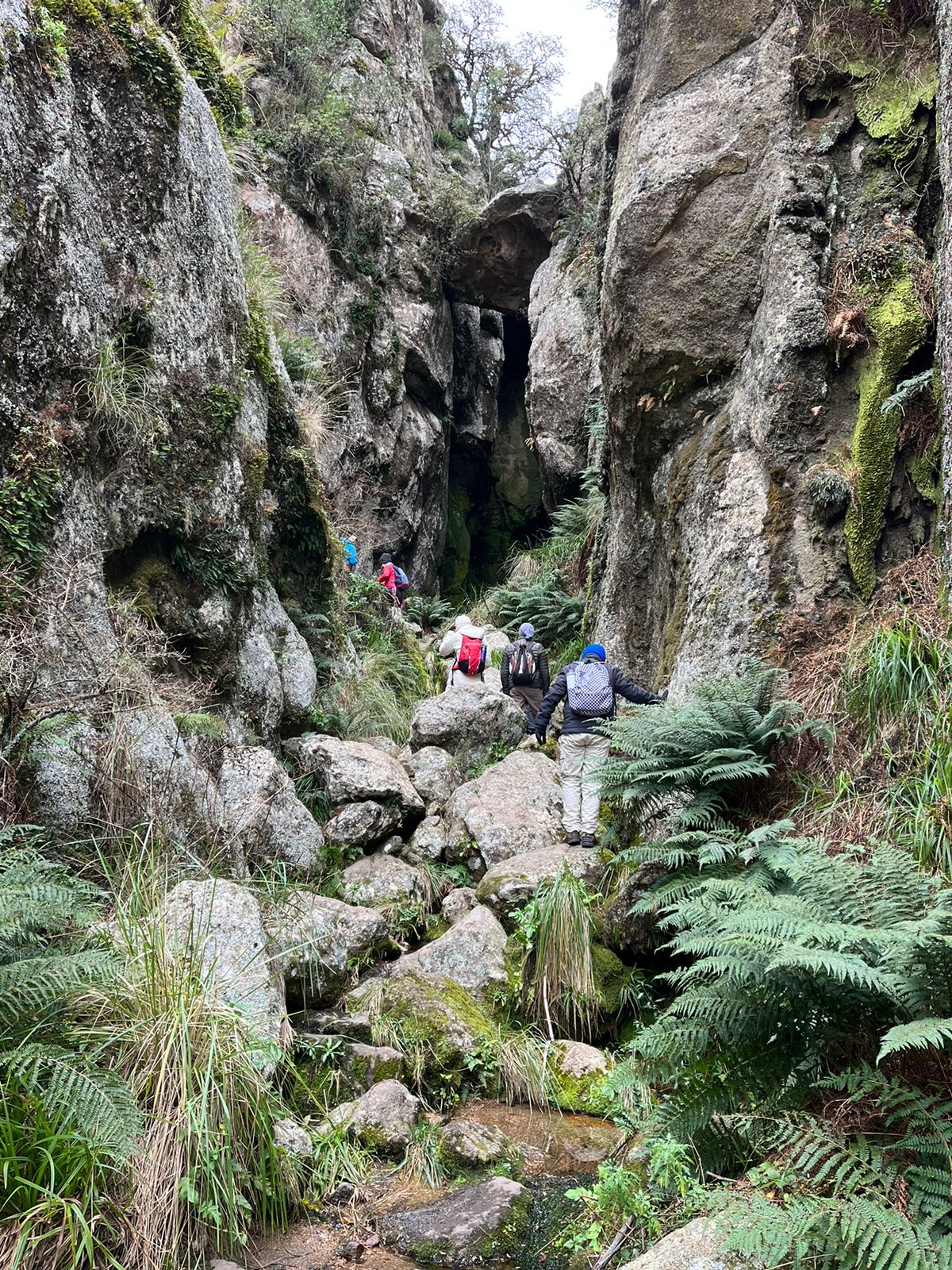 Trekking en Los Gigantes - Junio 2023 | Salida 124