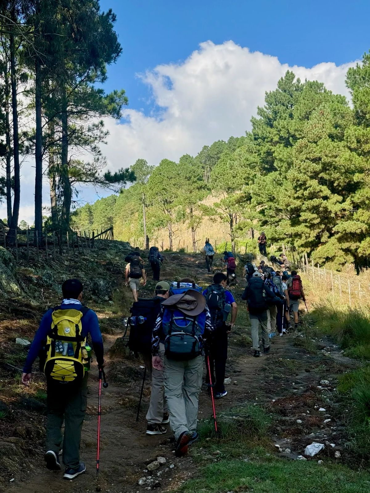 Grupo de trekkers ascendiendo por la huella de tierra entre la vegetación serrana camino al Champaquí