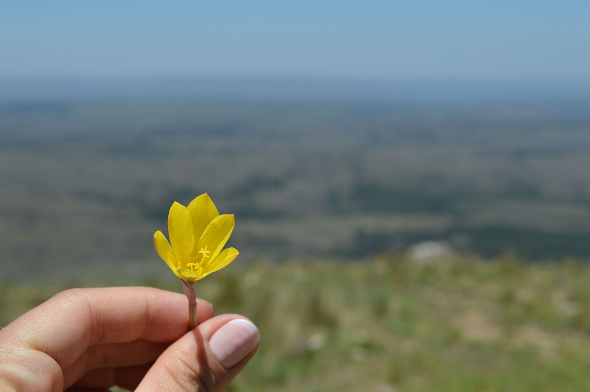 Ascenso al Cerro Champaquí - Diciembre 2020 | Salida 41
