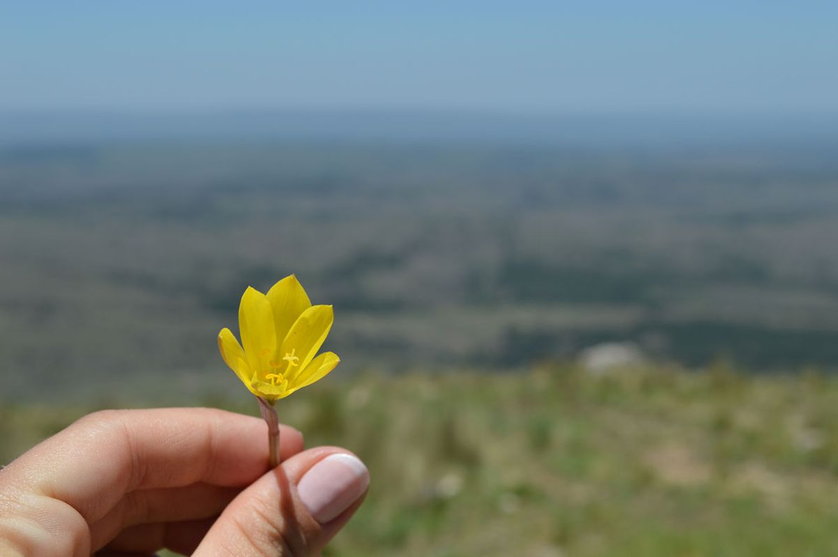 Ascenso al Cerro Champaquí - Diciembre 2020 | Salida 41