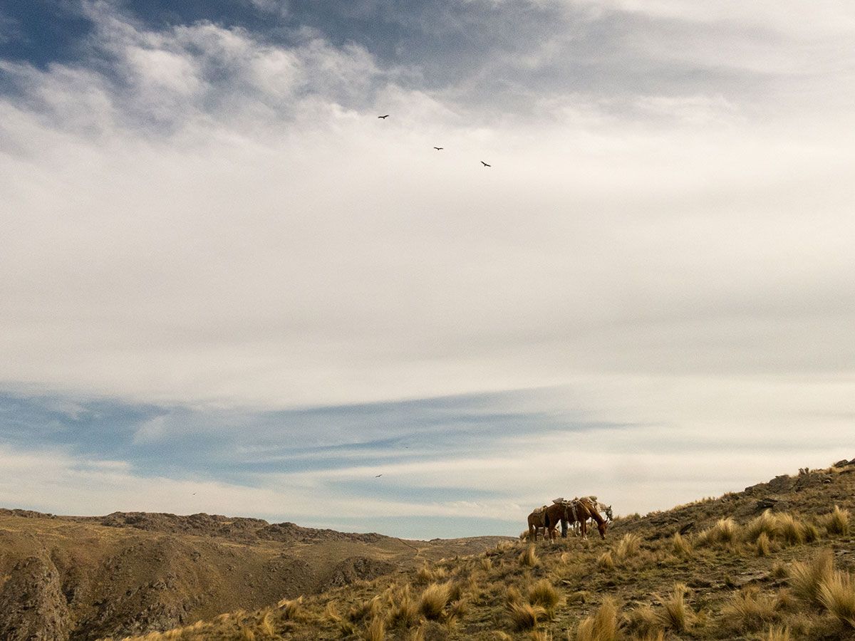 Trekking en Pueblo Escondido - Noviembre 2022 | Salida 109