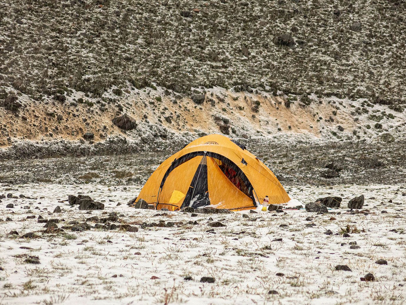 Expedición a los cerros Plata y Vallecitos - Enero 2023 | Salidas 113 y 115