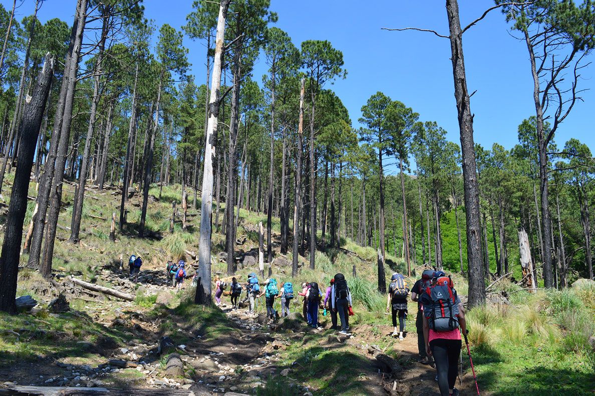 Ascenso al Cerro Champaquí - Diciembre 2020 | Salida 41