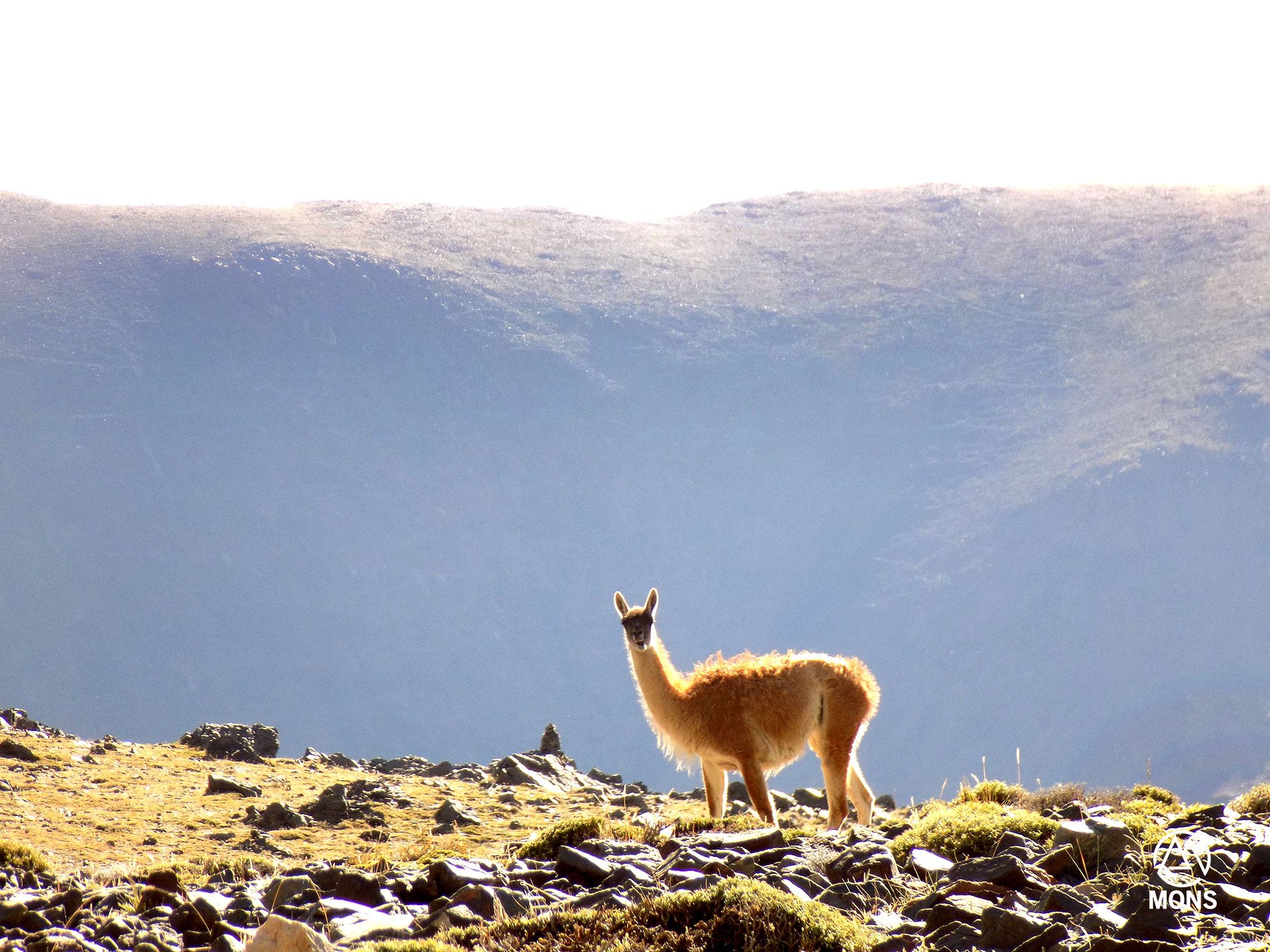 Cerro Vallecitos - Marzo 2019 | Salida 20
