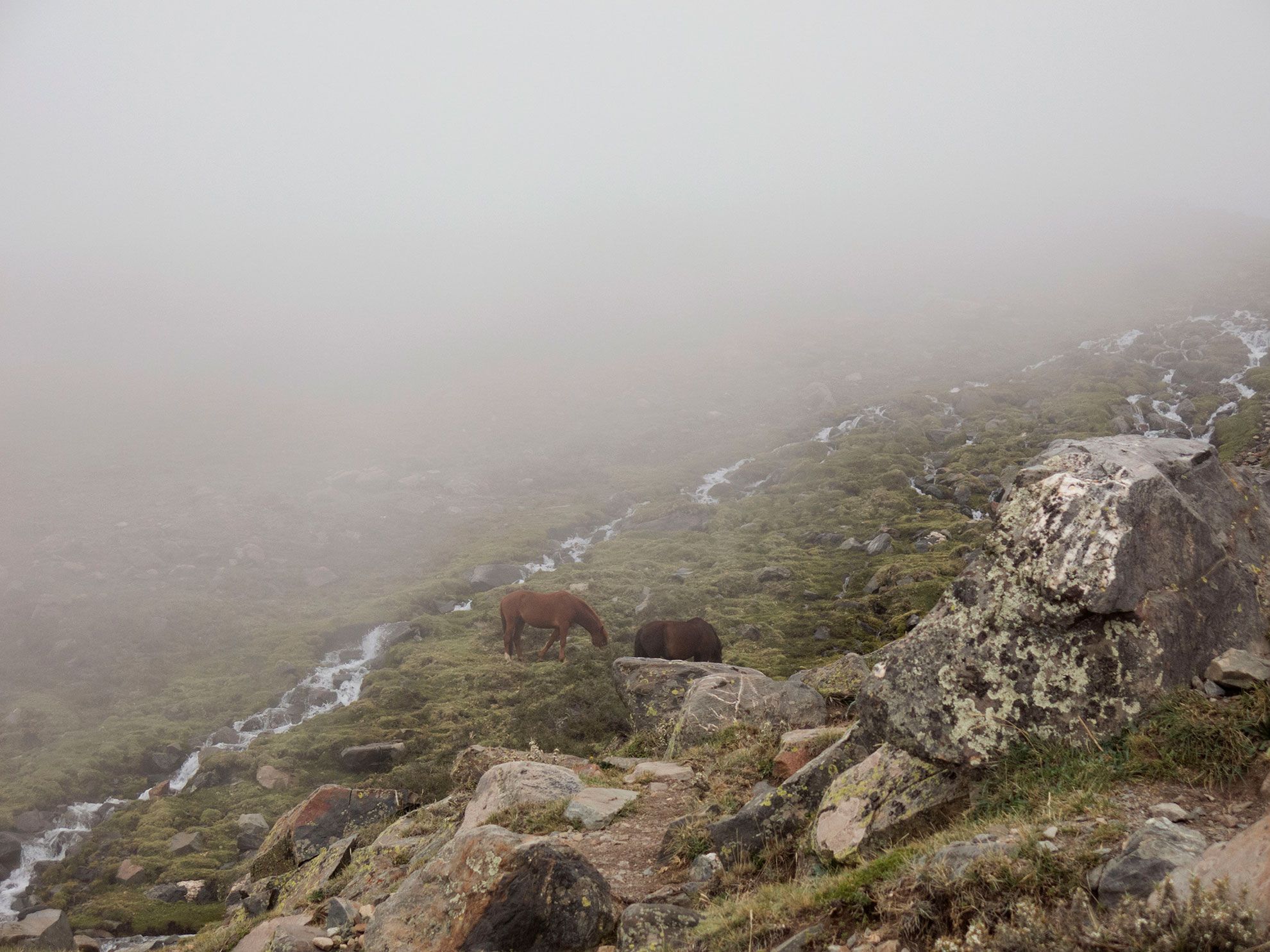 Bautismo de Montaña - Febrero 2020 | Salida 39