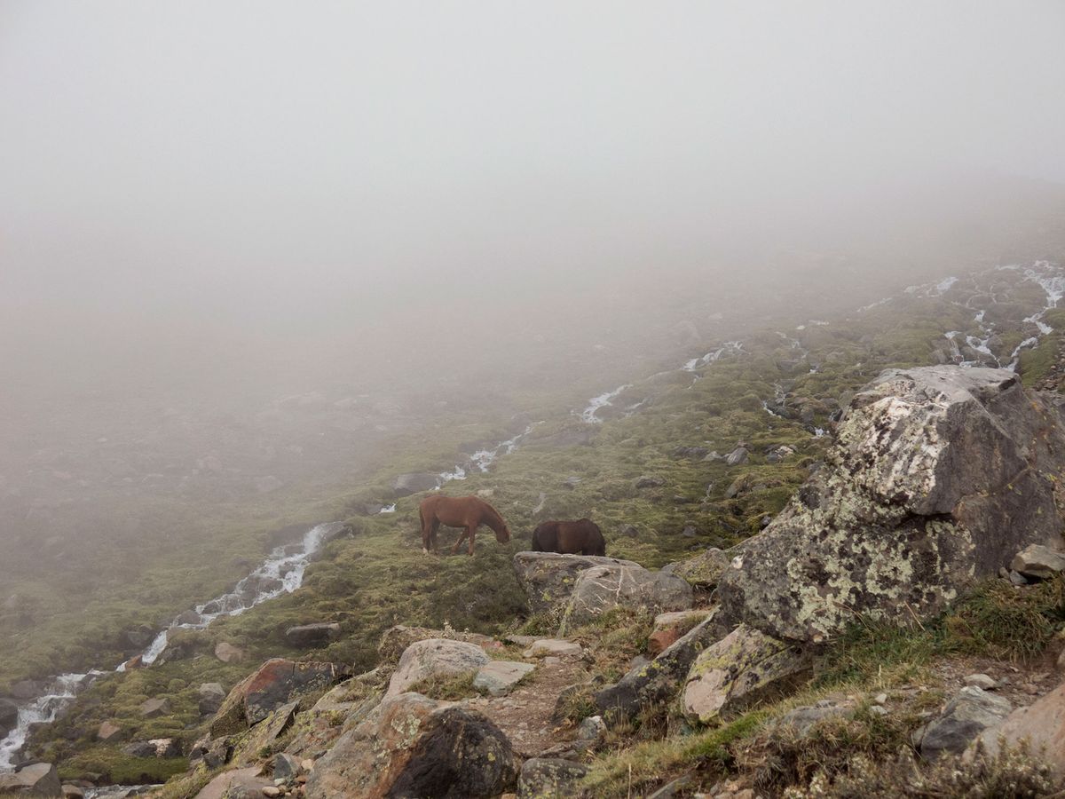 Bautismo de Montaña - Febrero 2020 | Salida 39