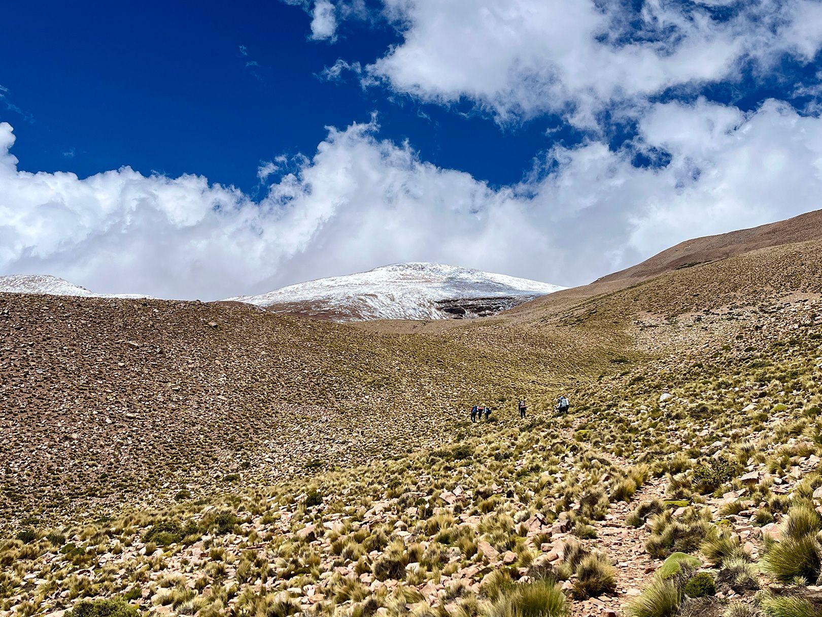 Expedición al Nevado de Chañi - Marzo 2024 | Salida 146