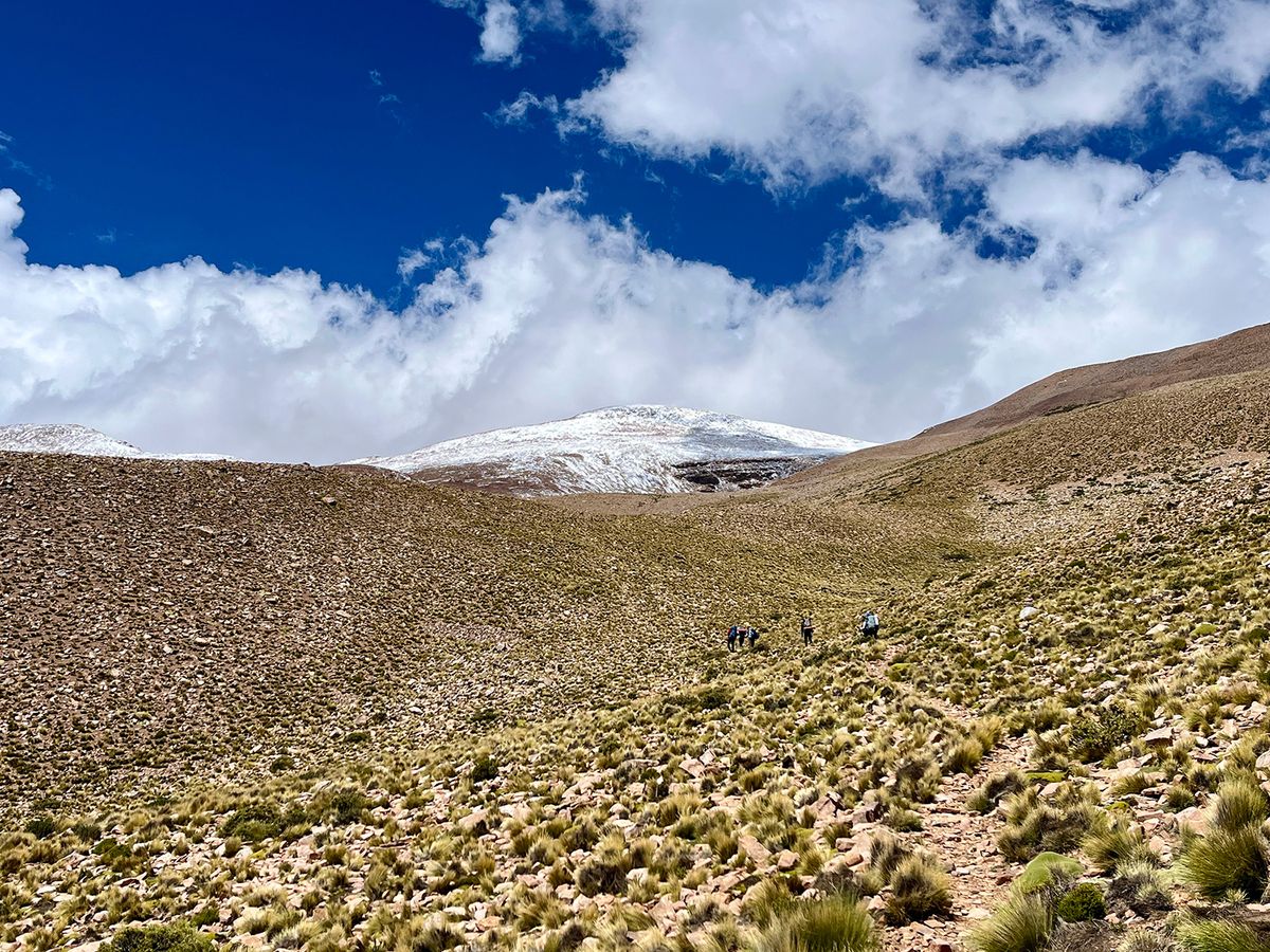 Expedición al Nevado de Chañi - Marzo 2024 | Salida 146