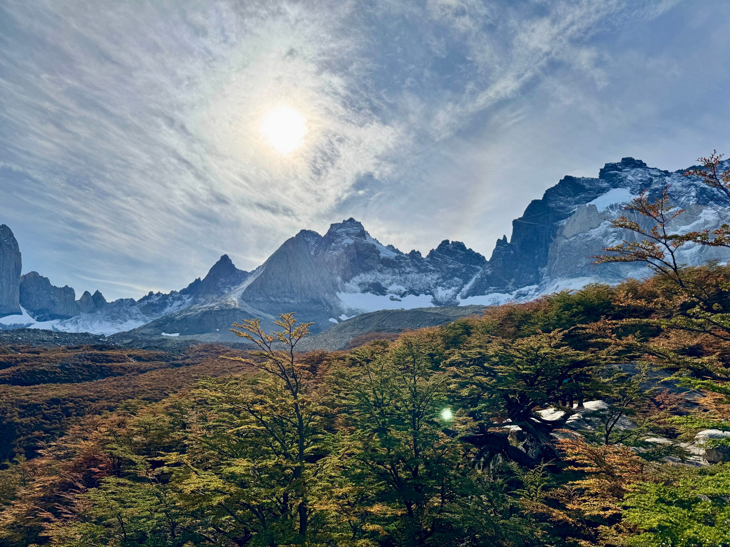 El Puma en Torres del Paine: Avistamiento y Seguridad en la Patagonia