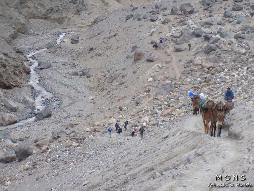 Aconcagua - Enero 2018 | Salida 03