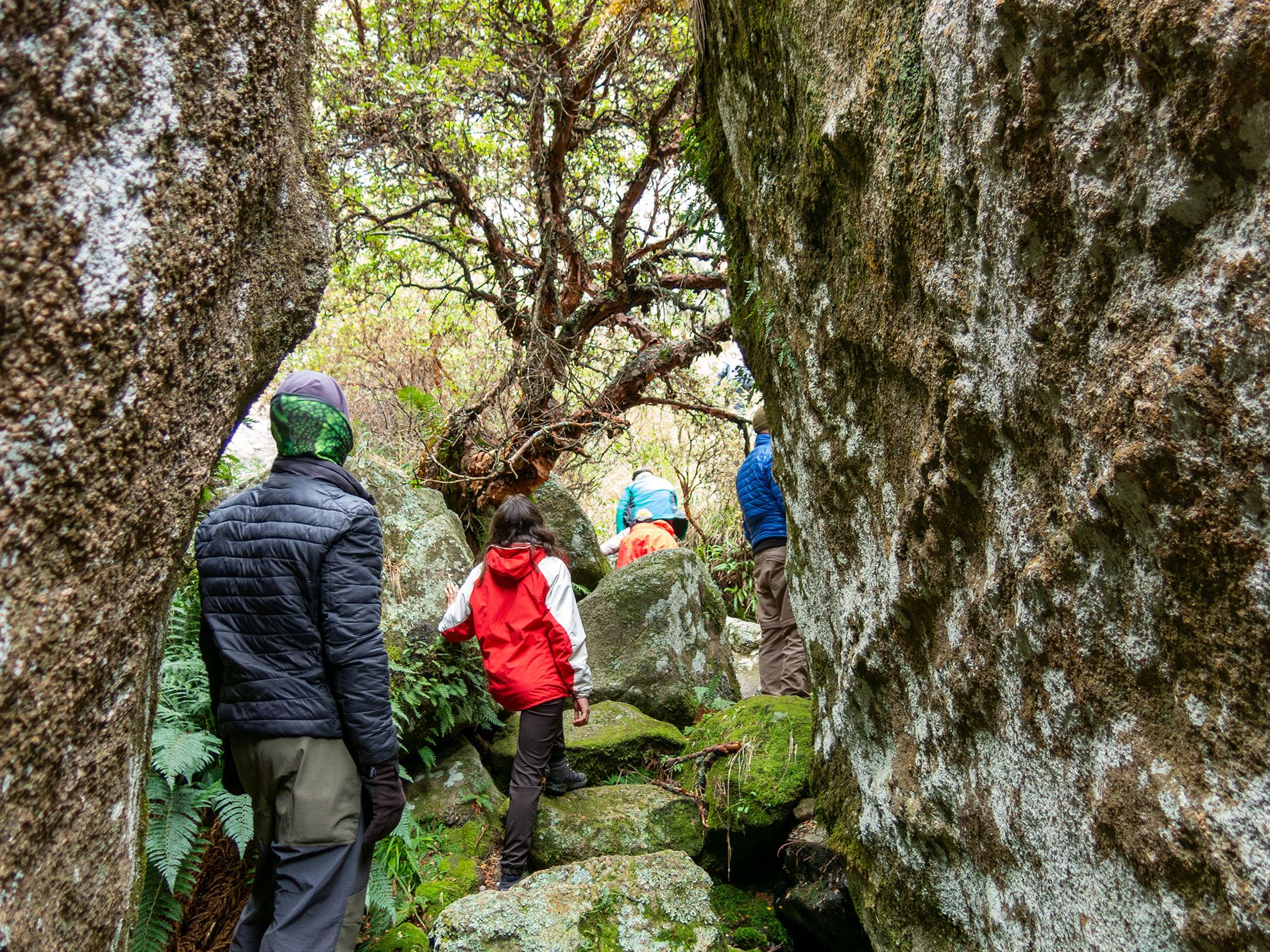 Trekking en Los Gigantes- Mayo 2021 | Salida 58