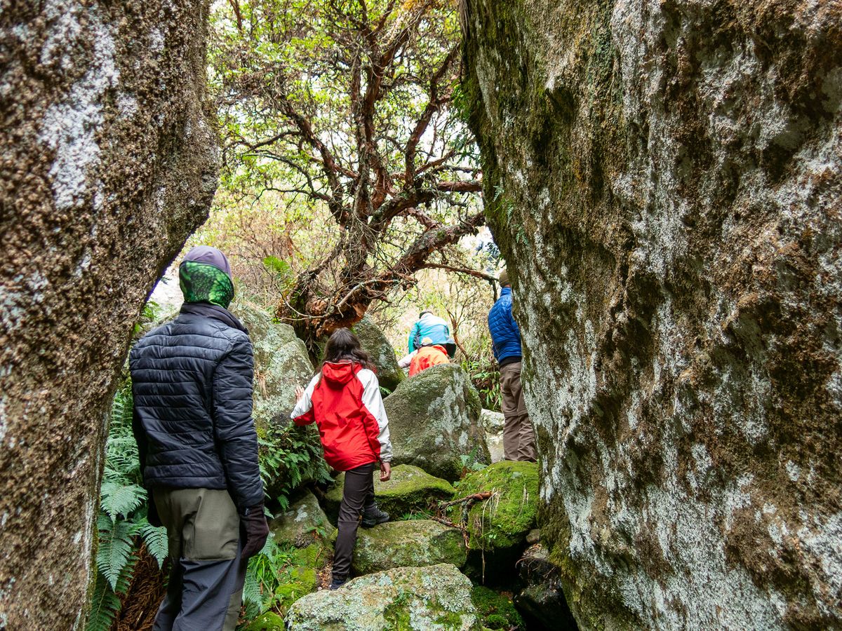 Trekking en Los Gigantes- Mayo 2021 | Salida 58