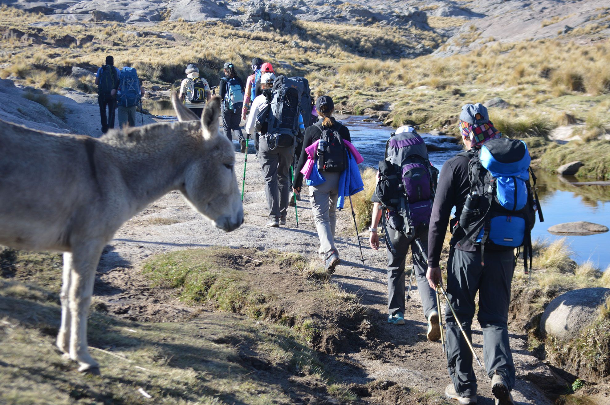 Ascenso al Cerro Champaquí - Septiembre 2021 | Salida 68