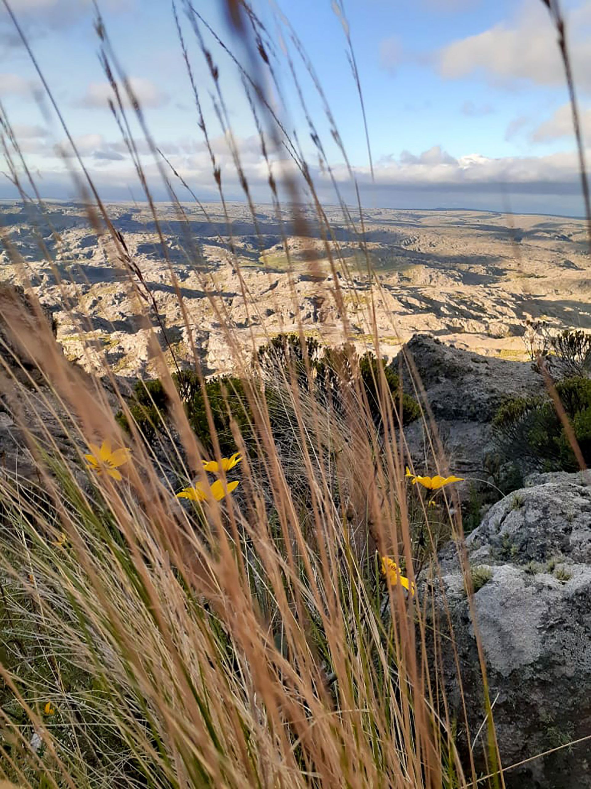 Trekking a Los Gigantes - Febrero 2021 | Salida 51