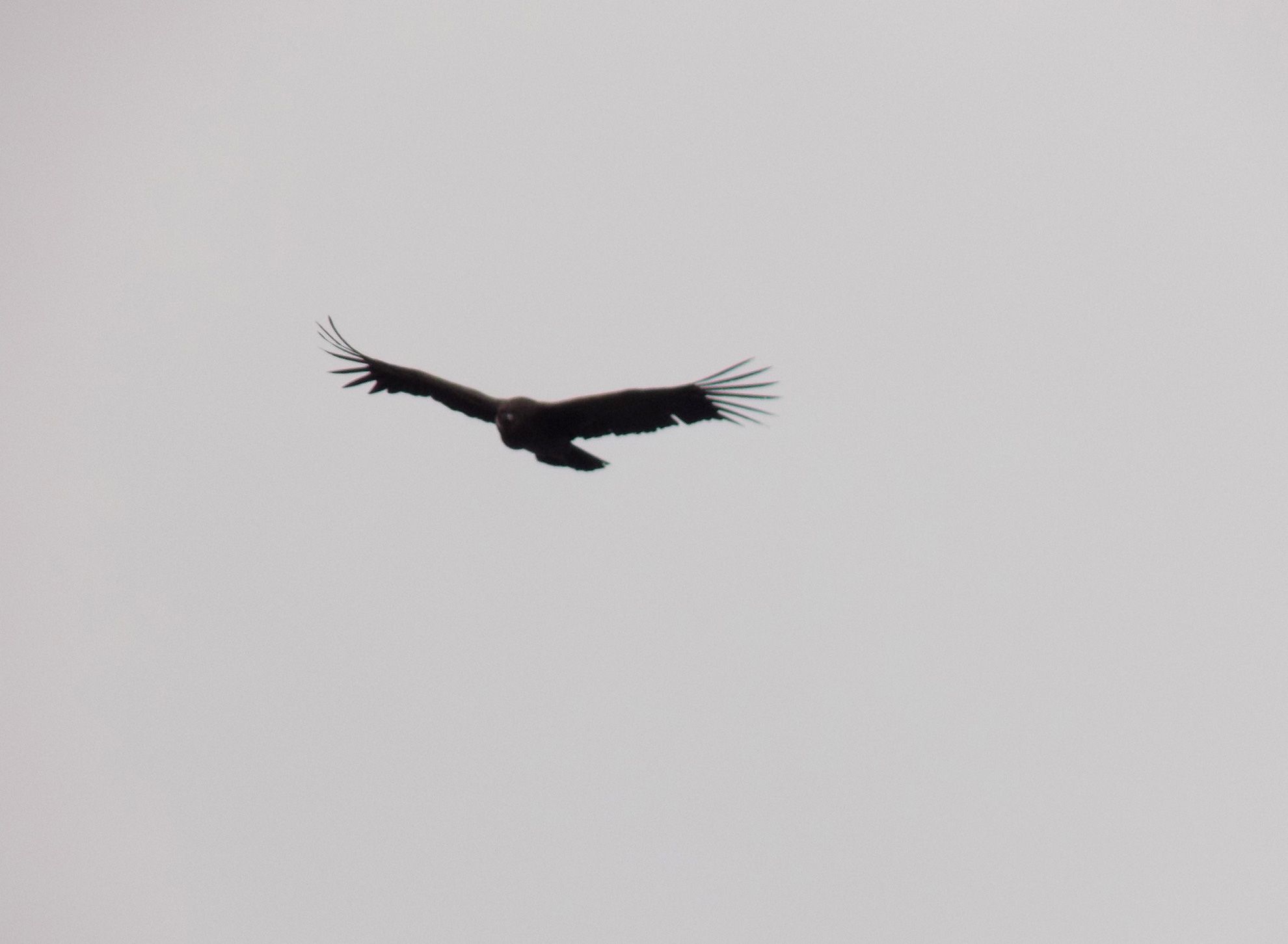 Cerro Champaquí - Abril 2019 | Salida 23