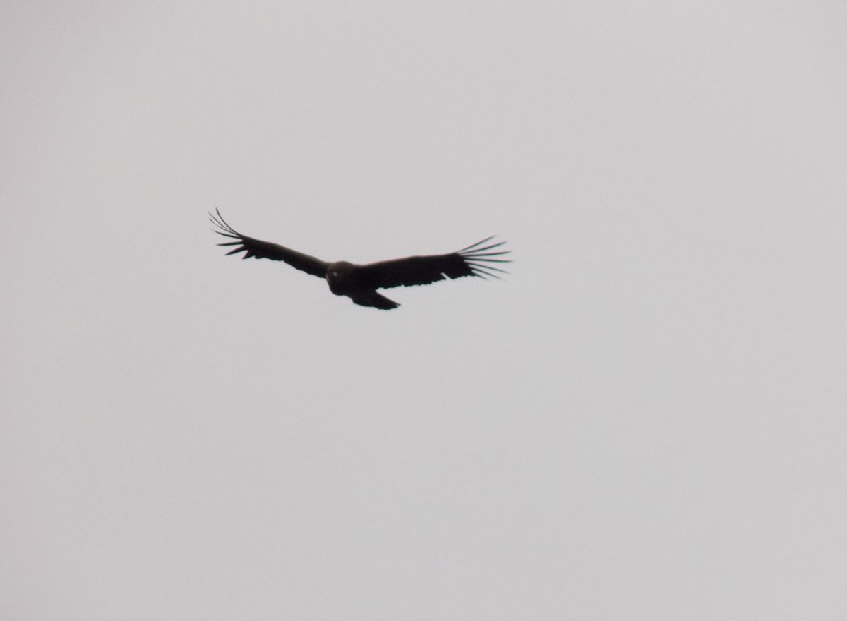 Cerro Champaquí - Abril 2019 | Salida 23