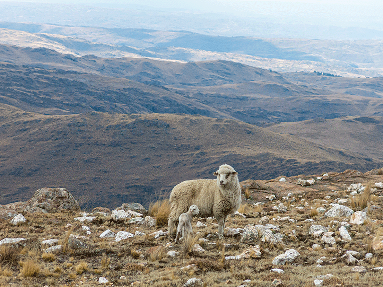 Trekking a Pueblo Escondido - Agosto 2022 | Salida 100