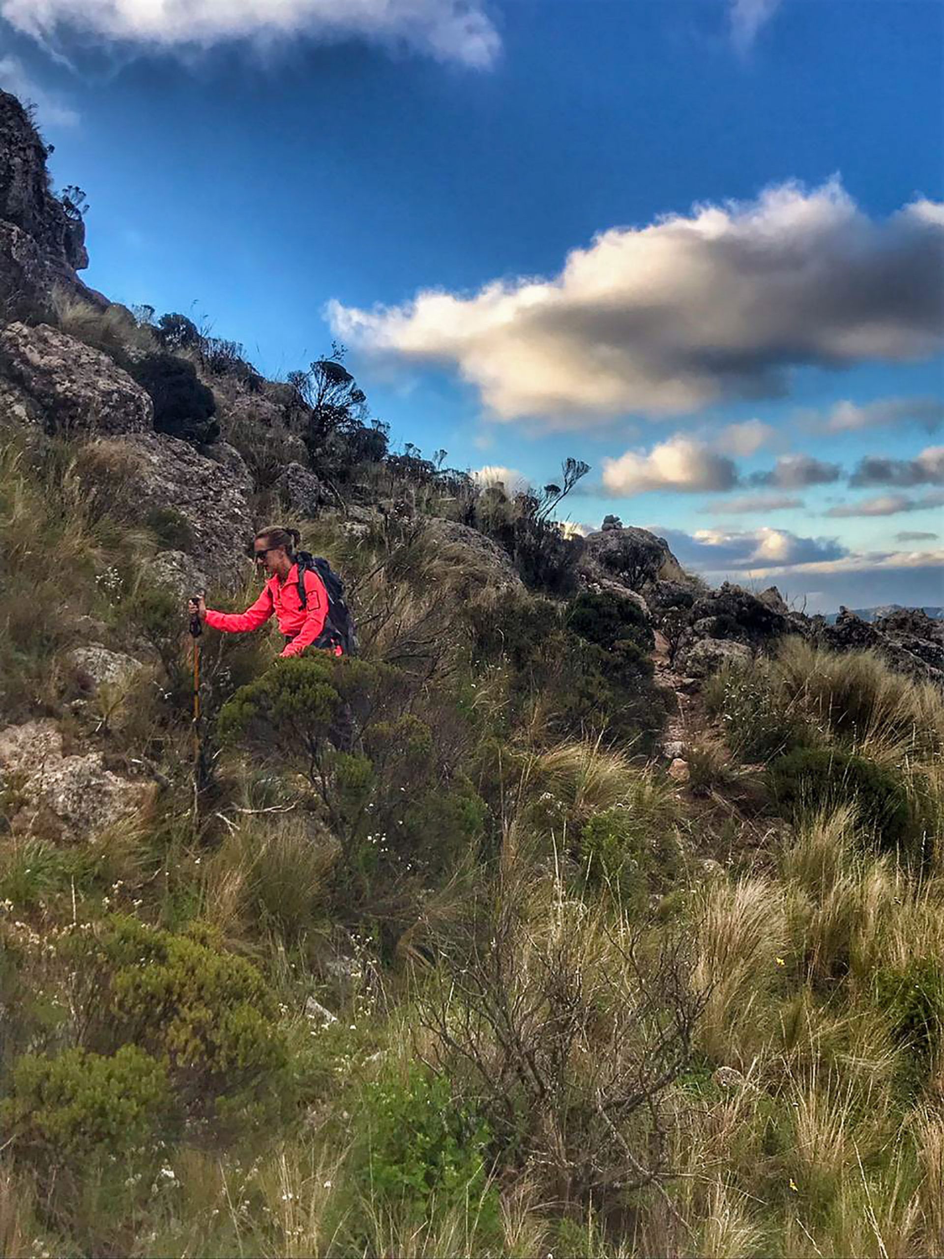 Trekking a Los Gigantes - Febrero 2021 | Salida 51