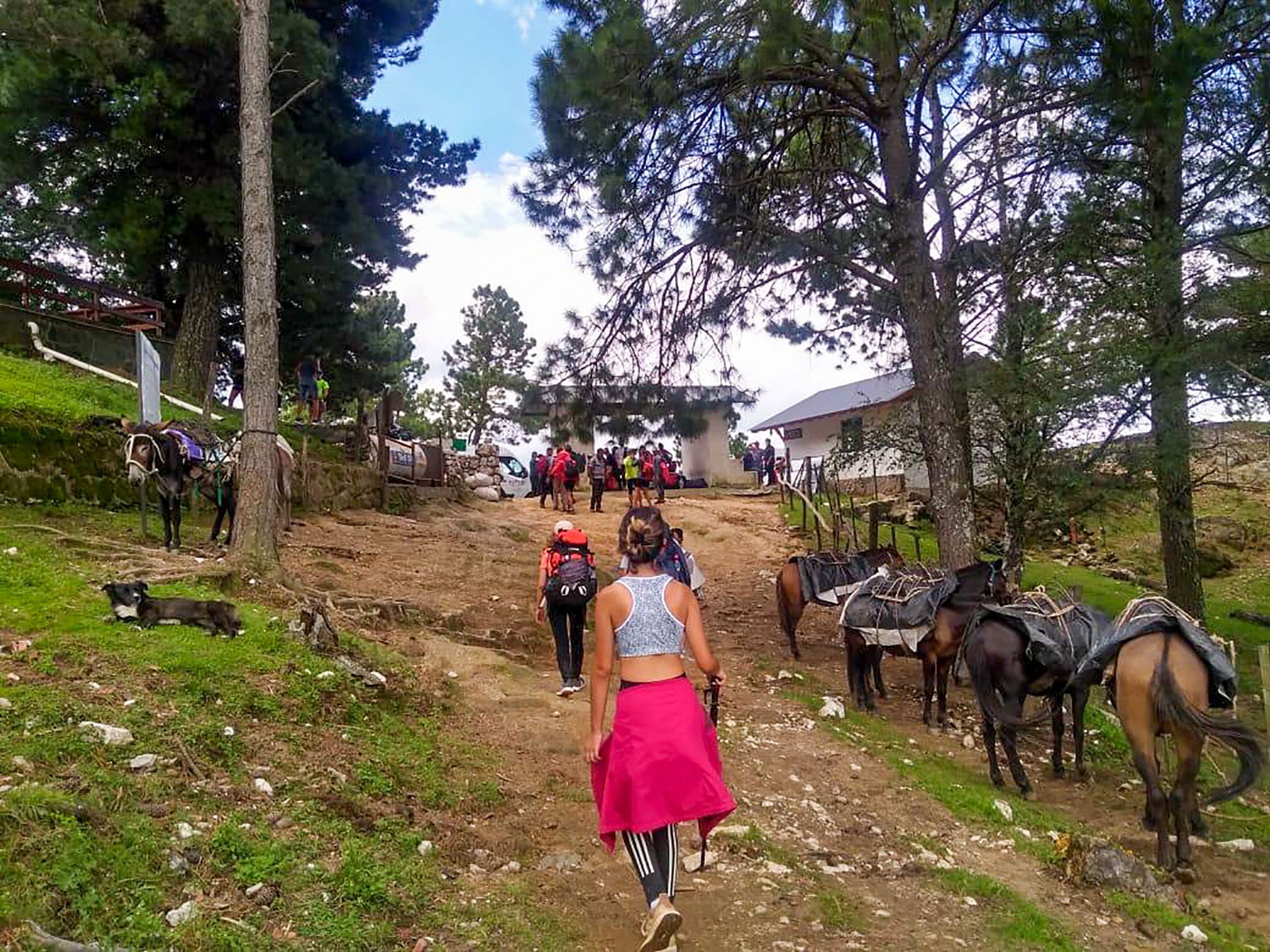 Ascenso al Cerro Champaquí - Febrero 2021 | Salida 48