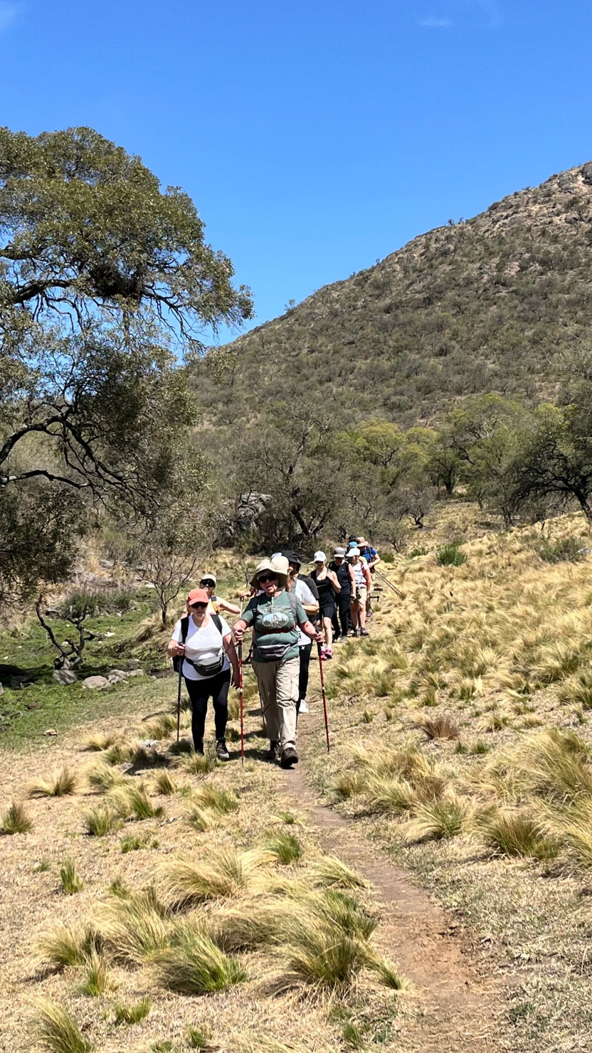 Trekkers bajando por el sendero entre pajonales con el cerro de Alpa Corral detrás