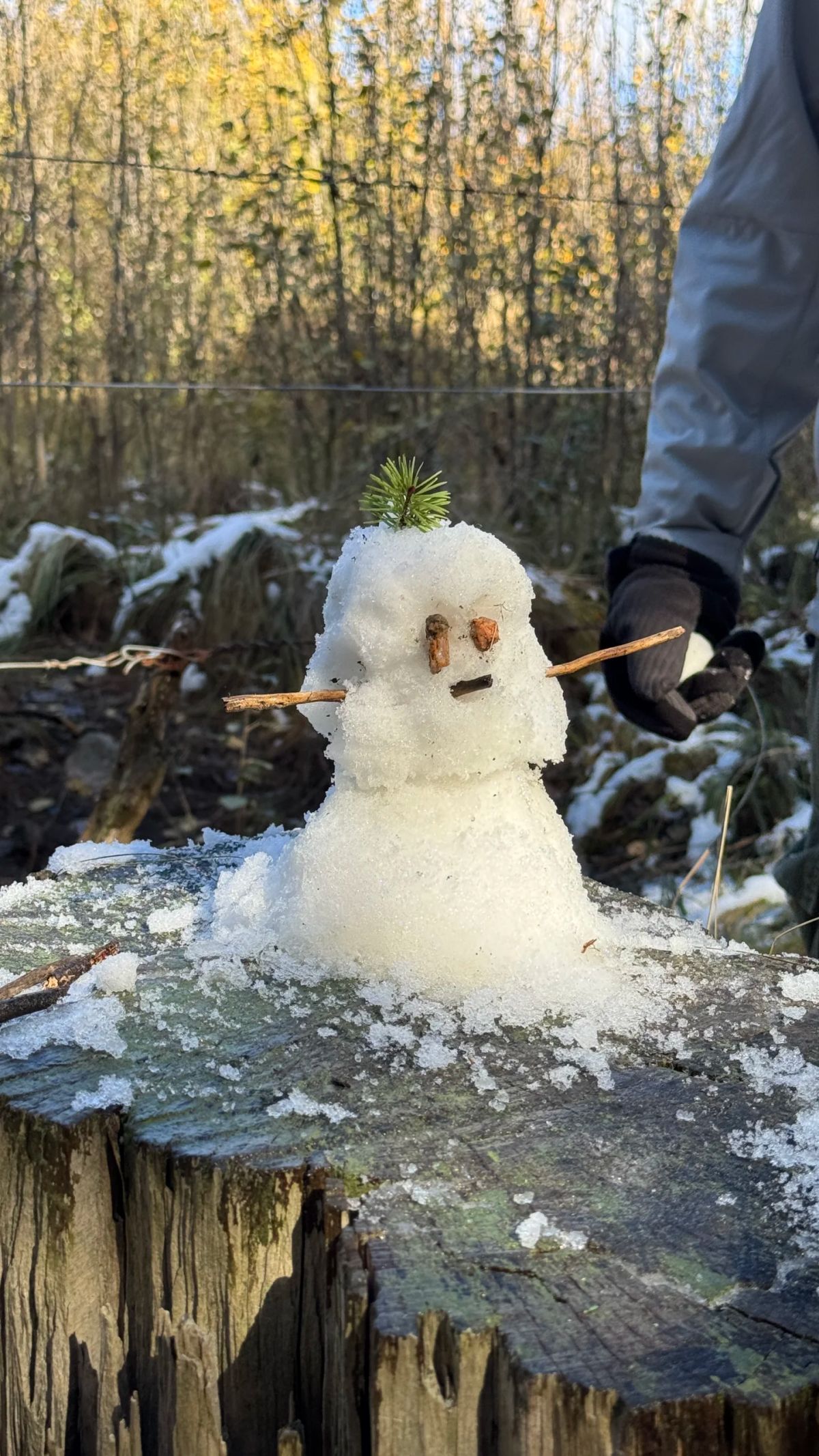 Muñeco de nieve con los álamos amarillos del otoño puntano de fondo, al cierre del trekking