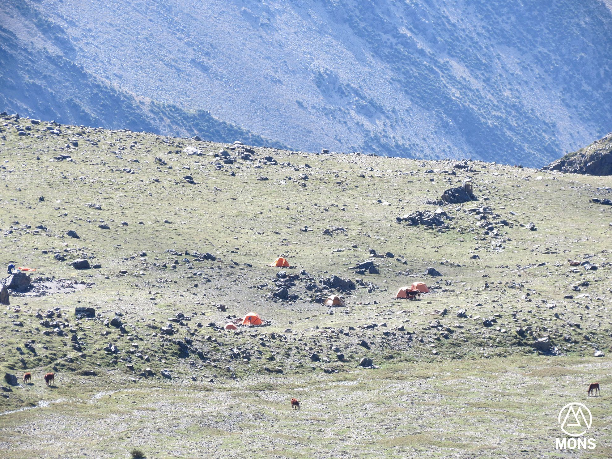 Cerro Stepanek - Febrero 2019 | Salida 18