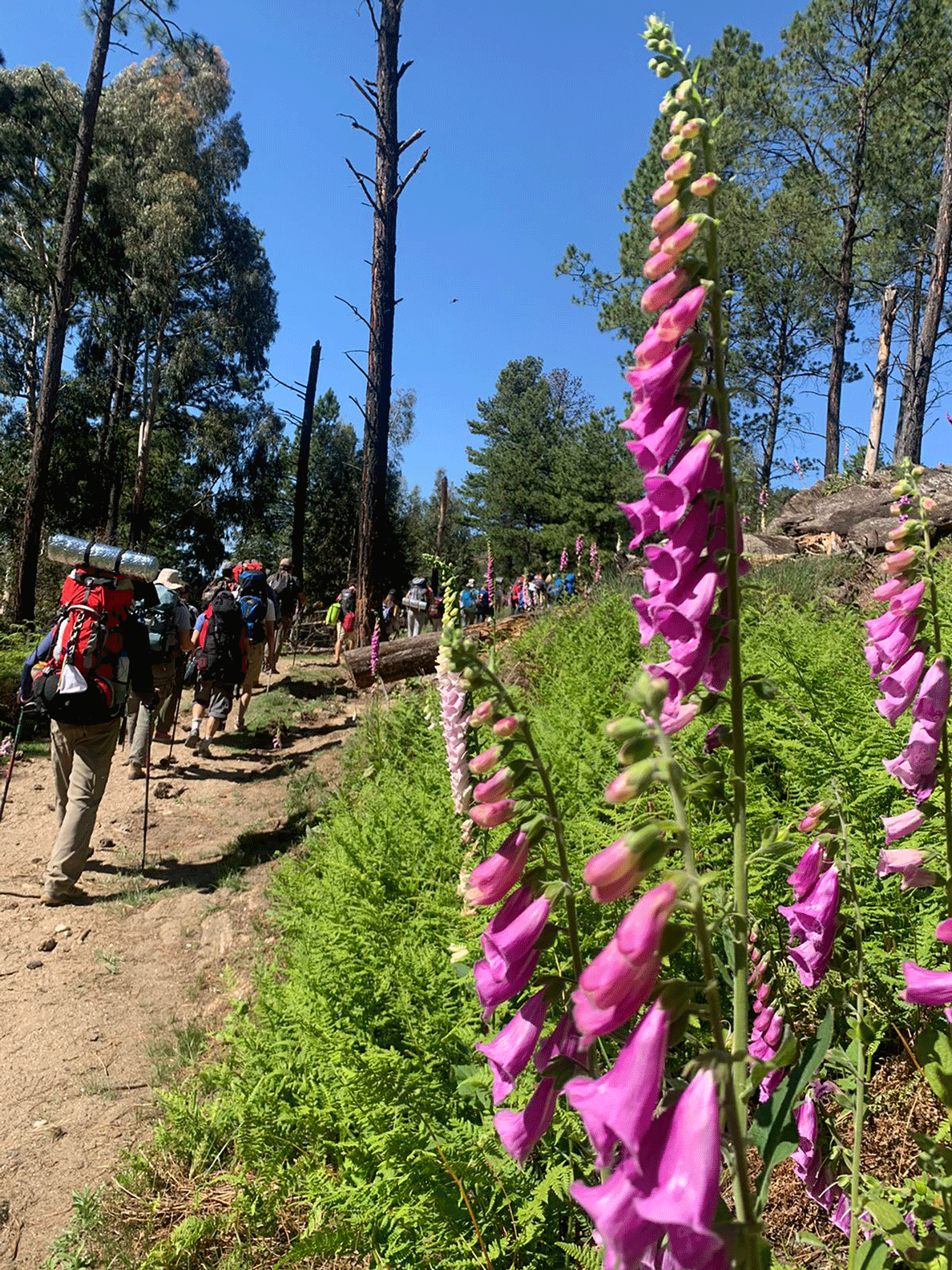 Ascenso al Cerro Champaquí - Noviembre 2021 | Salida 78