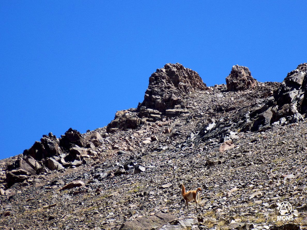Bautismo de Montaña - Marzo 2019 | Salida 19