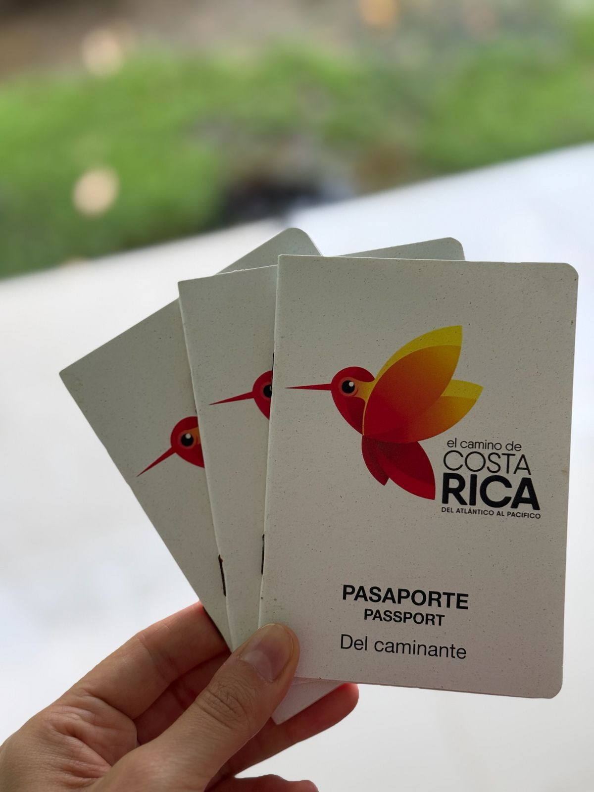 Travesía por el camino de Costa Rica: desde el caribe al pacífico 
