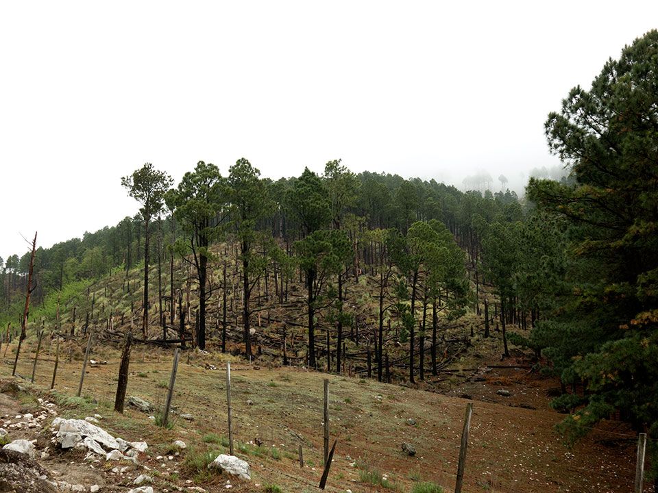 Cerro Champaquí - Octubre 2019 | Salida 31