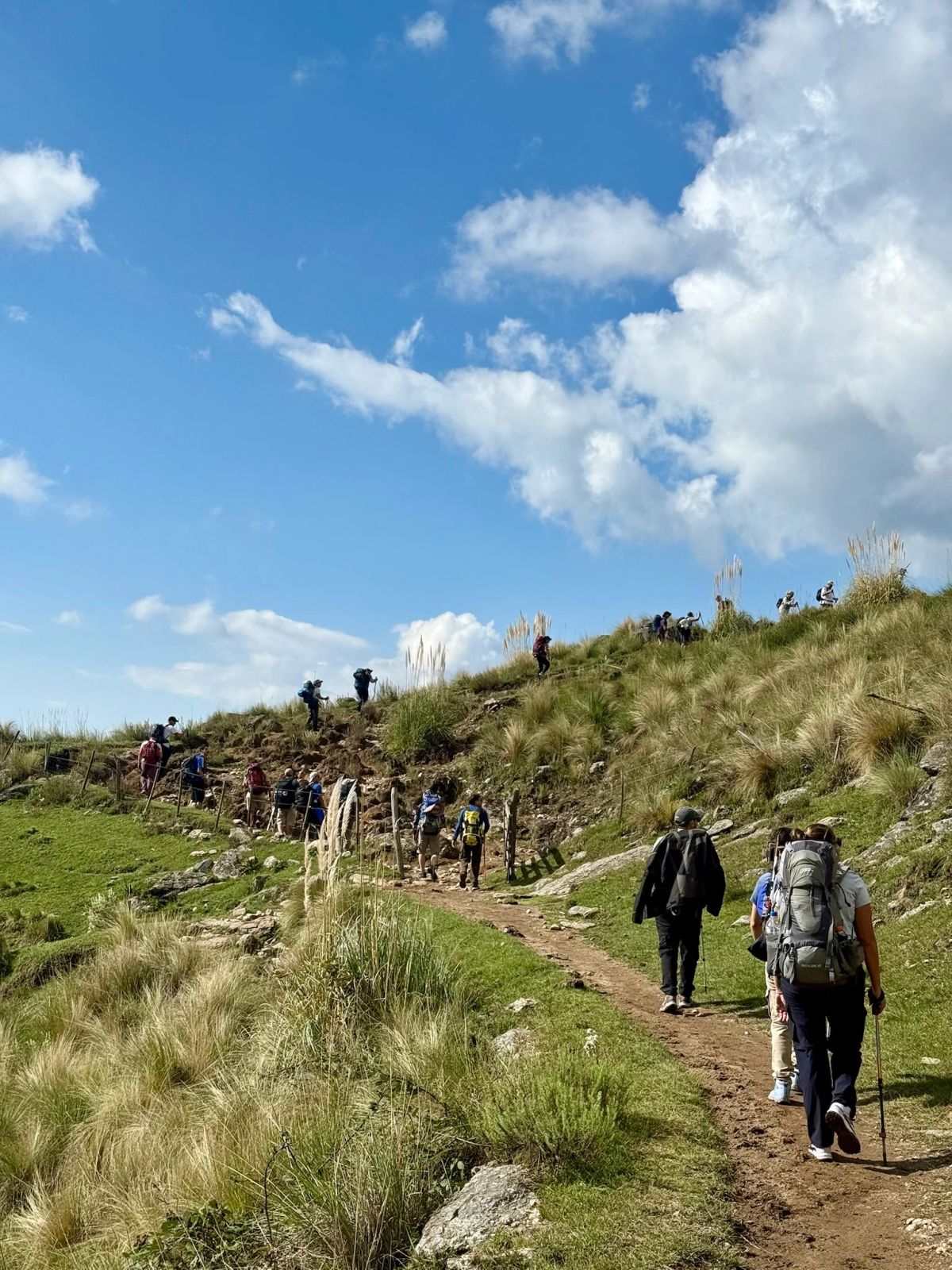 Grupo de Mons avanzando por la huella entre pajonales en la pampa de altura del Champaquí