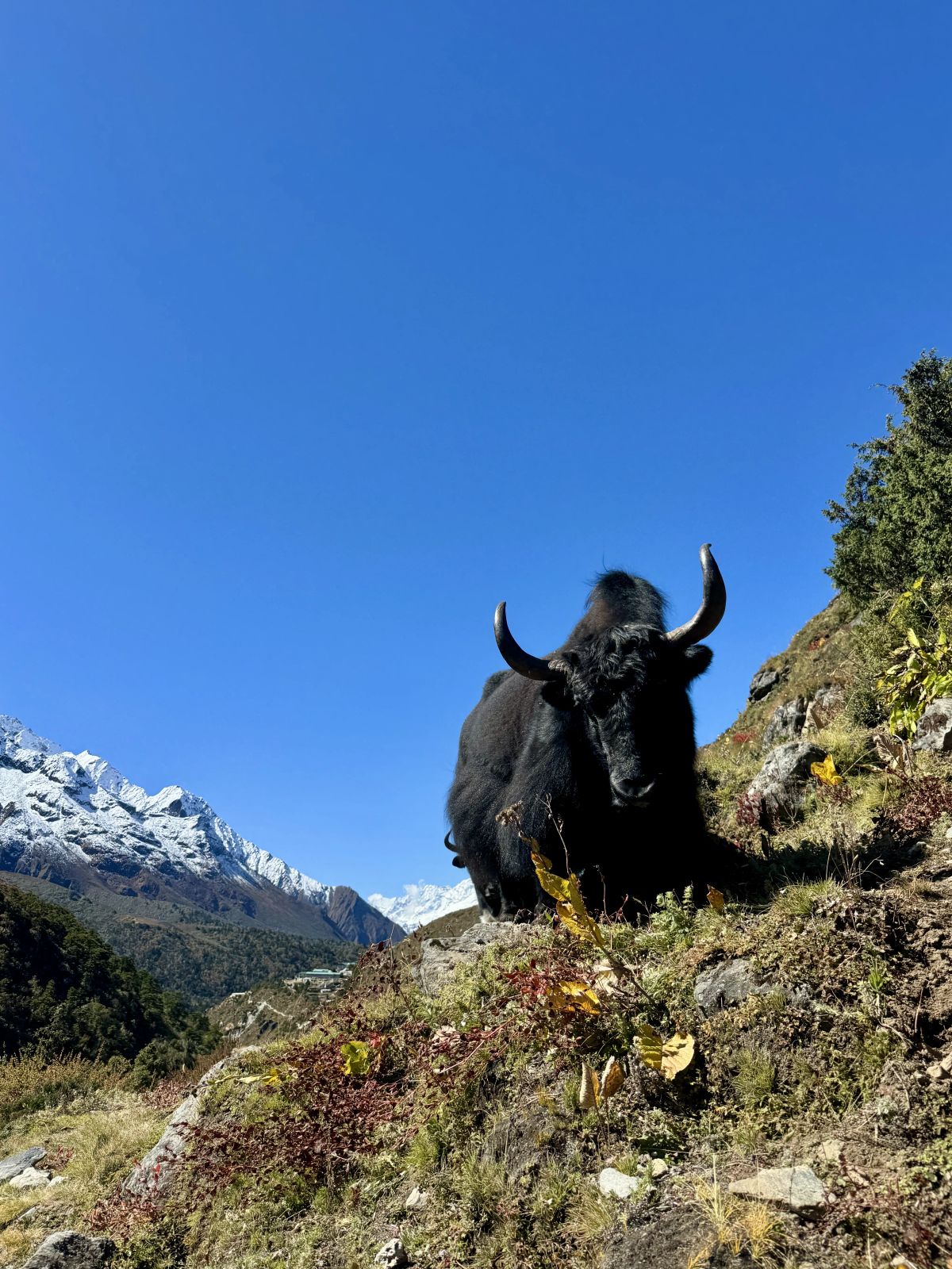 Trekking al Campo Base de Everest - Octubre 2025 | Salida 192