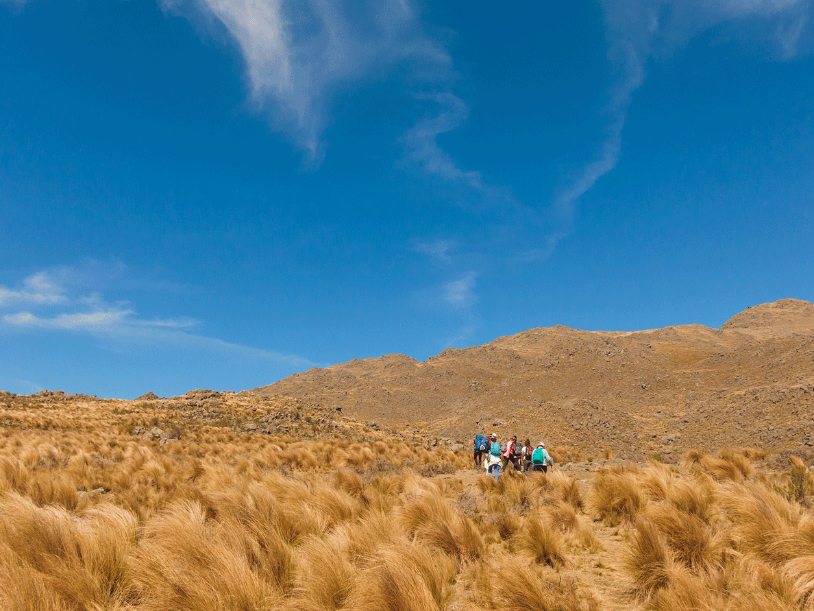 Cerro El Morro - Octubre 2019 | Salida 29