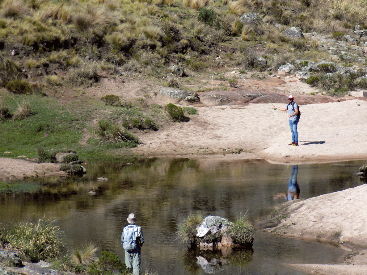 Trekking en Los Gigantes - Noviembre 2019 | Salida 32