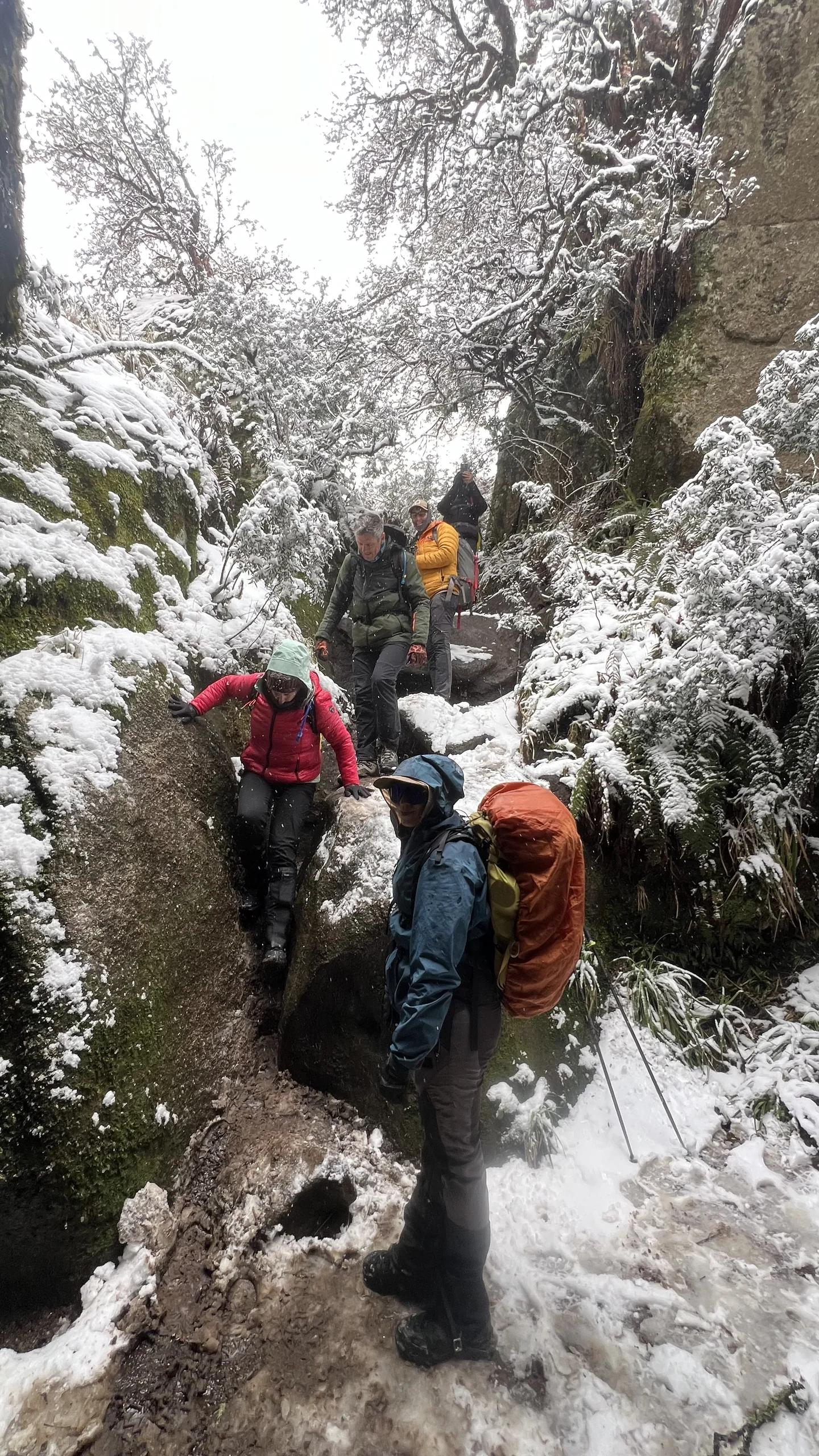 Trekkers descendiendo por un cañadón helado entre rocas y árboles escarchados