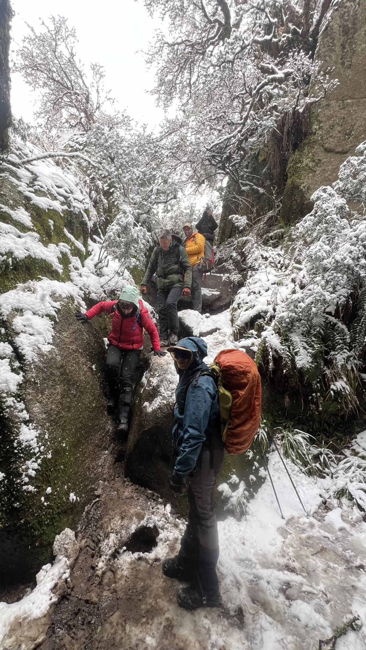 Trekkers descendiendo por un cañadón helado entre rocas y árboles escarchados