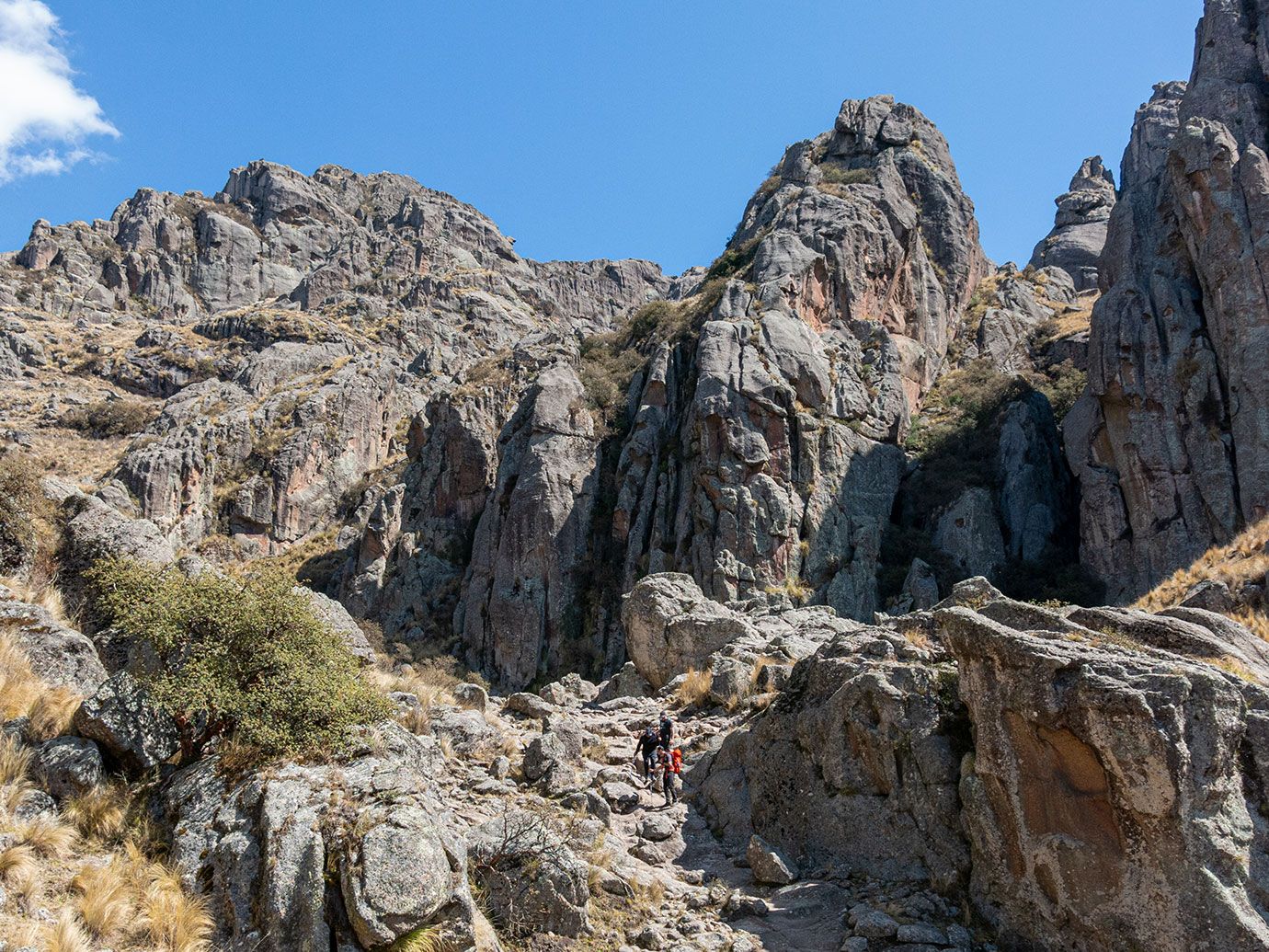 Trekking en Los Gigantes - Septiembre 2022 | Salida 103