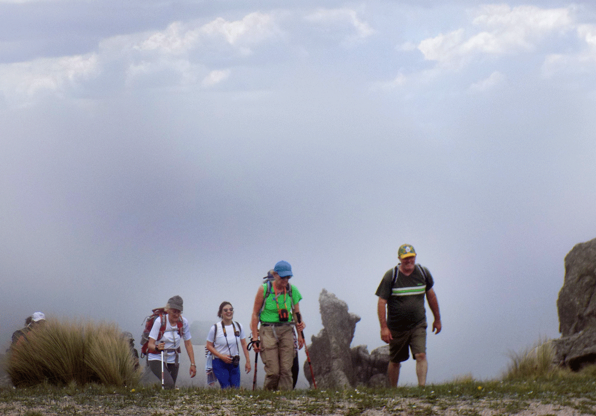 Trekking en Los Gigantes - Noviembre 2019 | Salida 32