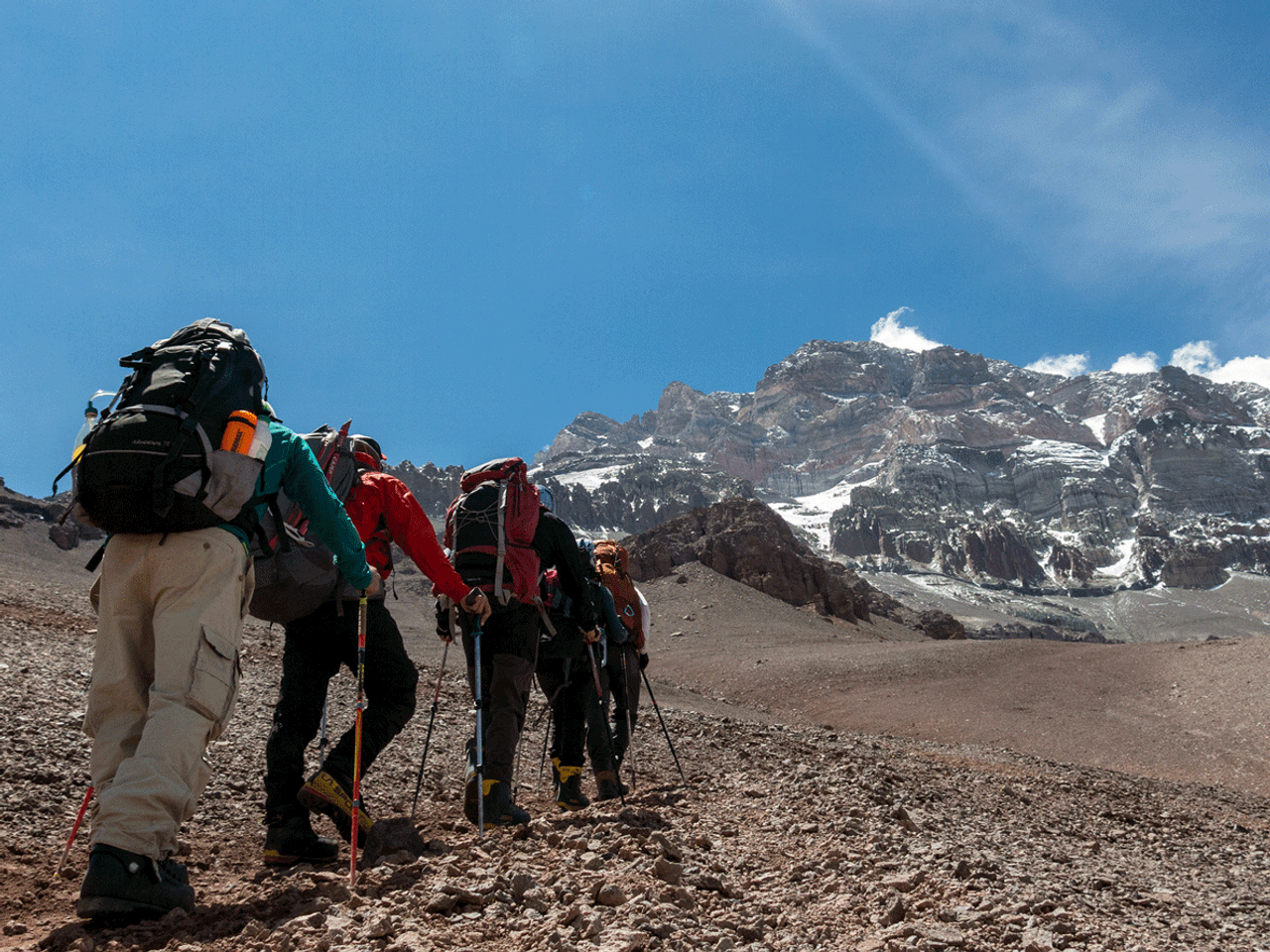 Cordada de andinistas ascendiendo con mochilas hacia la cumbre del Aconcagua mientras aclimatan a la altura — MONS Actividades de Montaña.