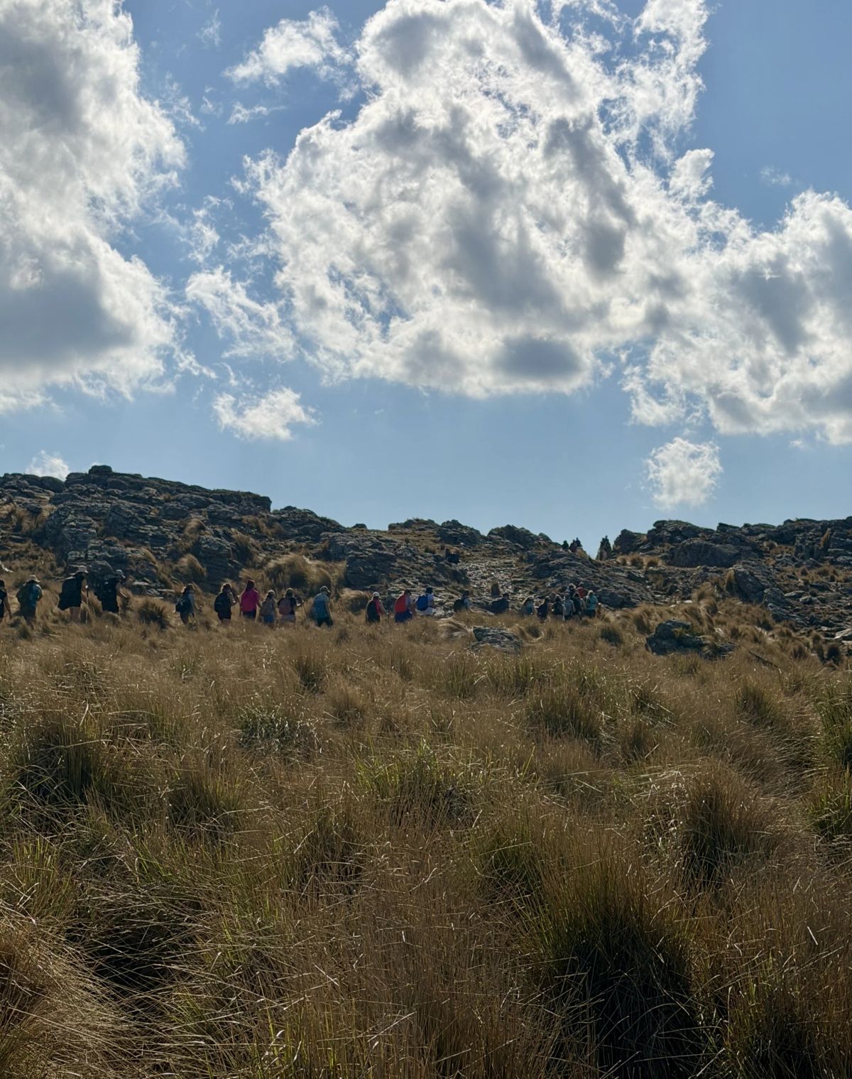 El pastizal de altura de la Sierra de Comechingones bajo un cielo de nubes blancas