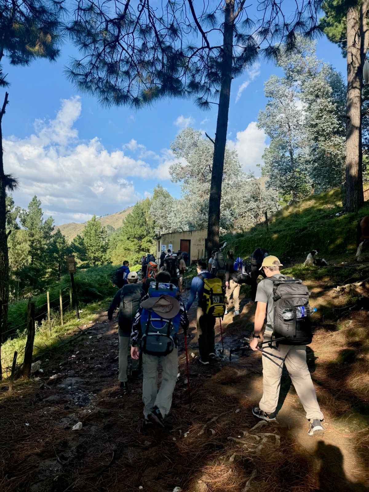 Trekkers con mochilas de expedición subiendo el sendero entre pinos en las primeras horas del trekking al Cerro Champaquí