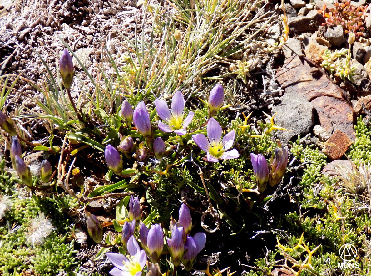 Bautismo de Montaña - Marzo 2019 | Salida 19