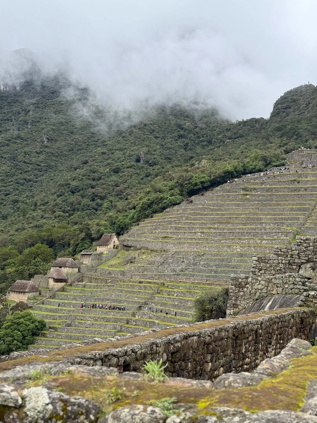 Las terrazas de cultivo de Machu Picchu, Santuario Histórico, Perú