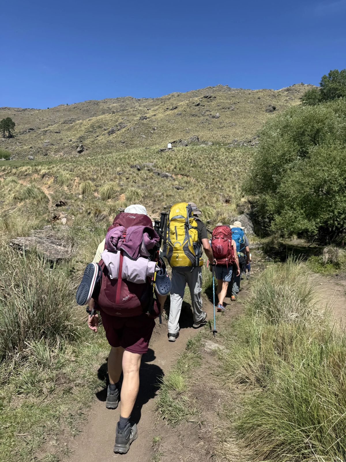 Caminante saliendo del bosque hacia los pastizales de altura de las Sierras Grandes